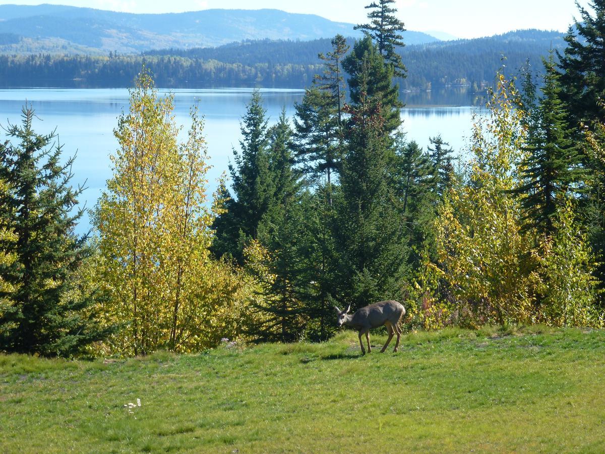 Little Black Bear Lodge/B&B Bridge Lake Kültér fotó